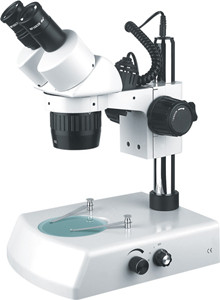 ST6024-B2定檔體視顯微鏡